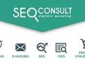 seo consult logo